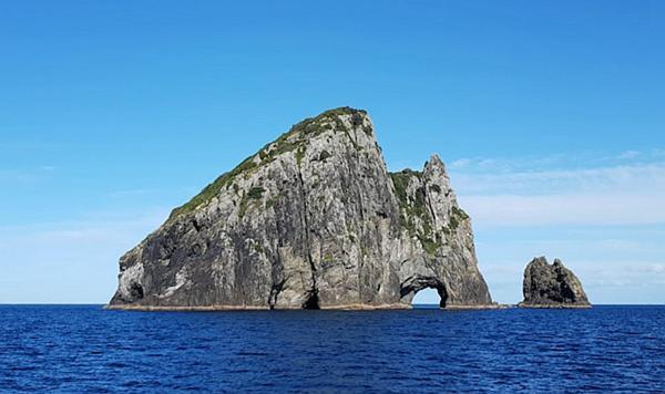Horse Shoe Manor Paihia Bagian luar foto